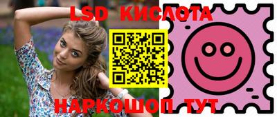 стафф Краснодар