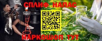 стафф Краснодар