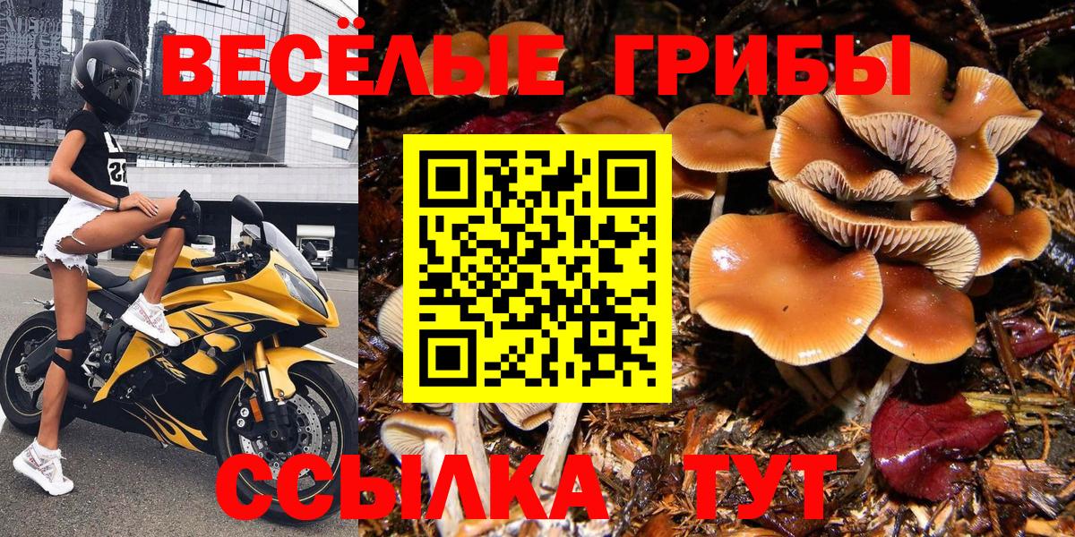 Галлюциногенные грибы ЛСД Фролово